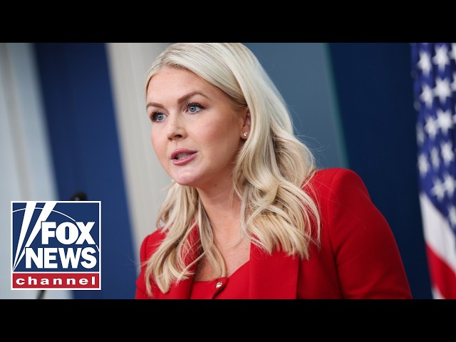 Karoline Leavitt: They want to DESTROY America...