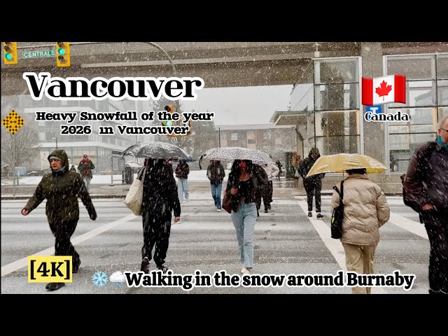 First Snowfall of 2026 in Vancouver ❄️ ❄️Snowy Walking Tour 🇨🇦 [4K HDR]