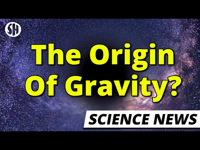 Physicists Say They Know the Origin of Gravity