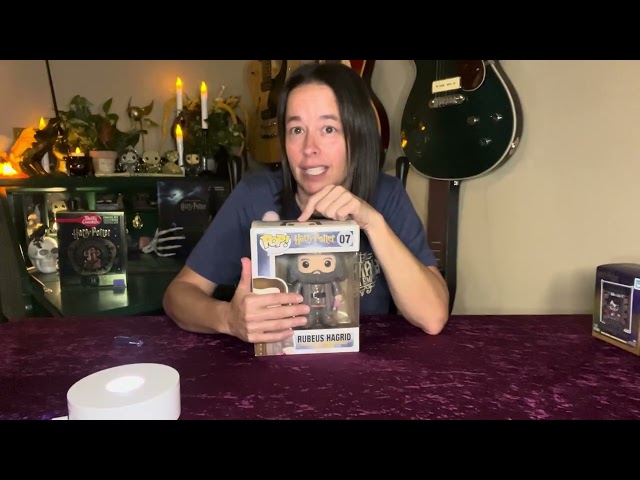 Harry Potter HAUL - 📦Magical Mail - Mystery Boxes - Lego - Betty Crocker - Funko Pop OH MY!!