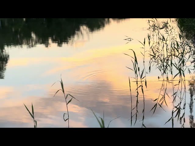 4K Sunset Timelapse Footage — Stray Cat's Sky CC BY, No Audio, No Filter Vol 25