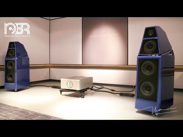 The Ultimate Audiophile Sound Test 🎸- Great Audiophile Playlist 2026