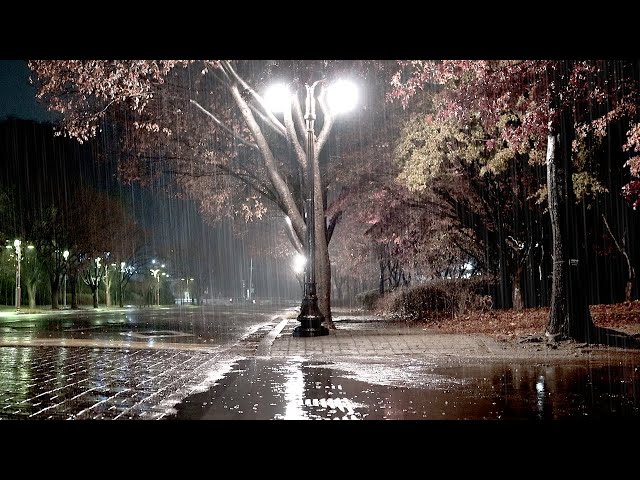 Calm Rainsounds in the night park, White noise like a Lullaby, relaxation & ASMR that helps relax.