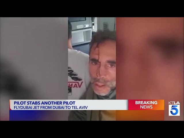 Pilot tries to crash Israel-bound passenger jet: What we know