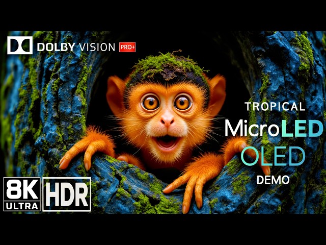 TROPICAL Wild 🌴 QD-OLED – MicroLED Demo | 8K Ultra HDR | Dolby Vision™ | 60fps