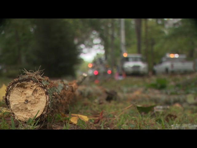Nor'easter leaves Virginia Beach residents without power