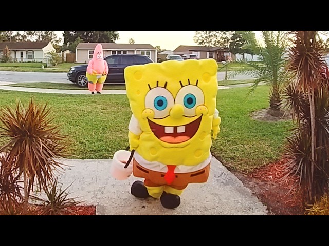 The Best Doorbell Videos Ever Recorded