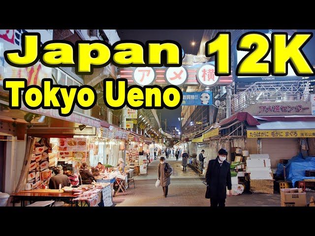 12K Video 上野散歩 Take a walk in Ueno, Tokyo, Japan ★Blackmagic URSA Mini Pro 12K Video