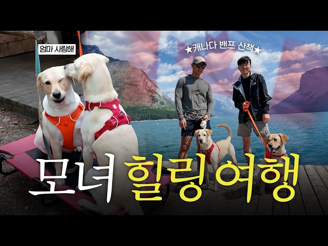 Dada and Bada's Trip to Banff, Canada: Puppies Overjoyed Beyond Words