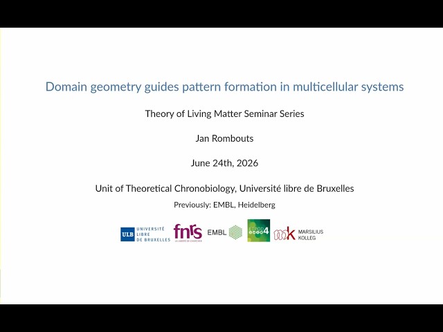 Dr Jan Rombouts (UL Bruxelles) - Domain geometry guides pattern formation in multicellular systems