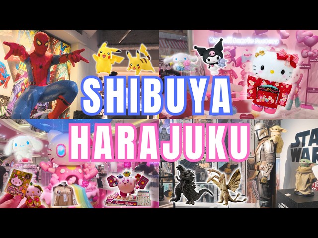 I Spent a Day Shopping in Tokyo's 2 Biggest Character Districts 🇯🇵