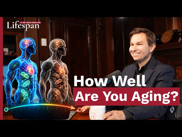 How Well Are You Aging? | Lifespan with Dr. David Sinclair - S2, Ep. 7