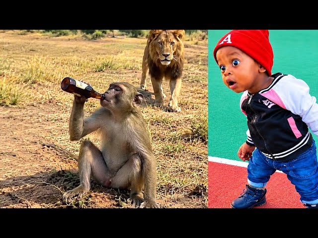 Funniest Internet Memes Compilation | If You Laugh, You Lose | Try Not To Laugh 😂 (EP_58)