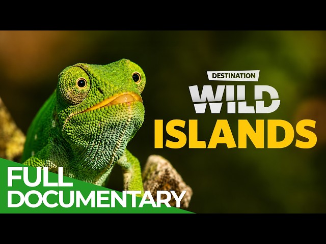 Destination Wild: Wild Islands | FULL SERIES | Free Documentary Nature