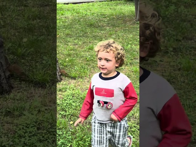 Chasing squirrel got serious