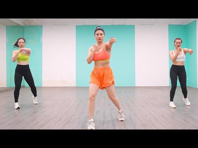 Exercise To Lose Belly Fat FAST - 25 Mins Aerobic Dance Workout At Home ✅ Aerobic Inc
