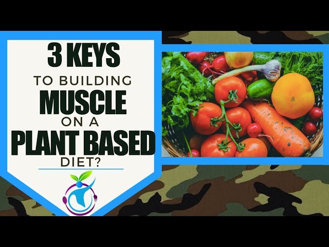 Three Keys To Building Muscle Tissue On A Plant Based Diet
