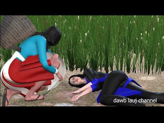 Dab laug siab phem daim 72