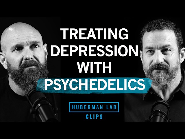 Treating Depression & PTSD with Ibogaine & DMT | DJ Shipley & Dr. Andrew Huberman