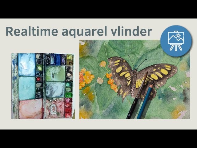 Realtime vlinder aquarel door Bertina Tilma.