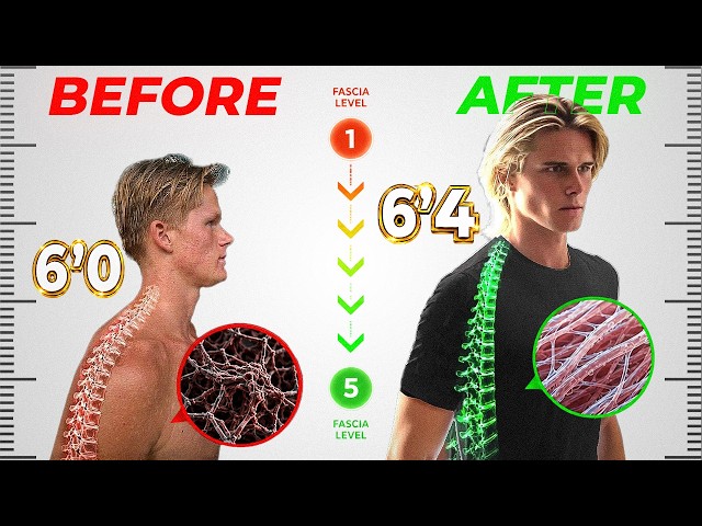 Grow Taller In 5 Phases Of Fascial Development