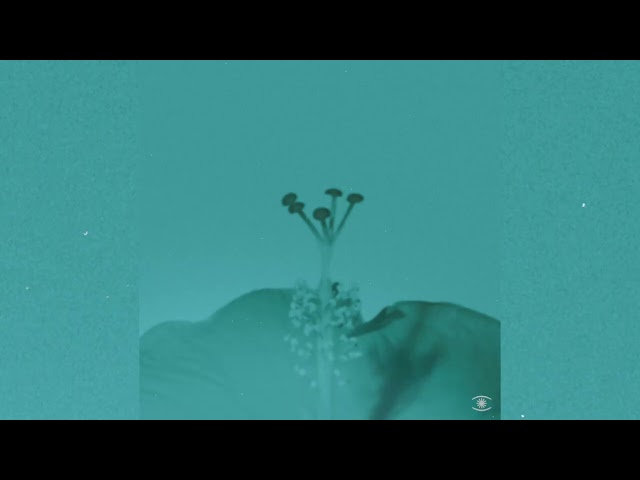 John Beltran - Soft Rain - s1003