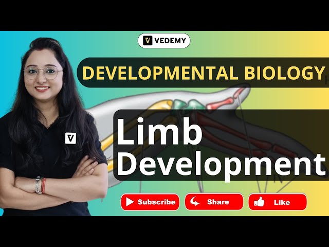 Limb Development | Developmental Biology | Jyoti Kumari | CSIR | DBT | ICMR | GATE | ICAR