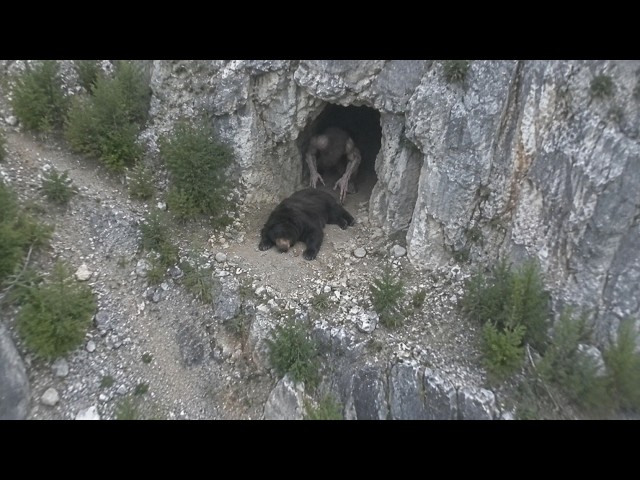 10 Disturbing Things Drones Filmed Where Humans Aren't Supposed To Be - Part 2