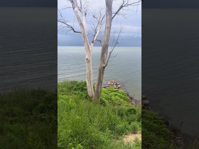 Cold Front on The Lake !