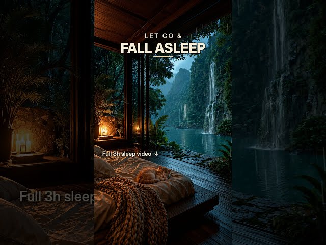Fall asleep with her 🐱🌧️ Rain on a hidden tropical lake #sleepmusic #rainsounds