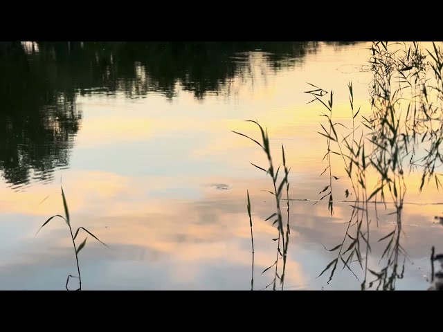 4K Sunset Timelapse Footage — Stray Cat's Sky CC BY, No Audio, No Filter Vol 22