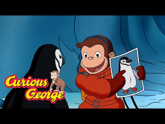 The Lost Penguin Project!🐧 🐵 Curious George 🐵 Kids Cartoon 🐵 Kids Movies