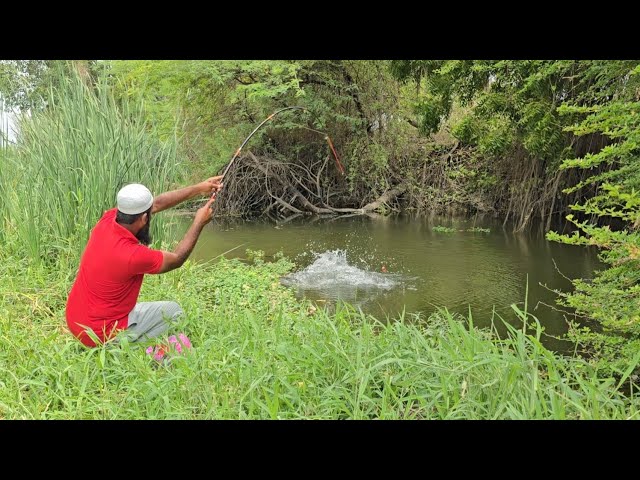 🎣BIG CATFISH ATTACKS MY TINY HOOK!" I NEVER EXPECTED THIS BIG CATFISHES ON A TINY HOOK!" CRAZY FIGHT