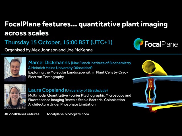 FocalPlane features... Laura Copeland