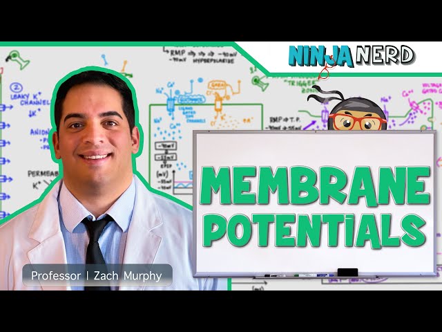 Neurology | Resting Membrane, Graded, Action Potentials