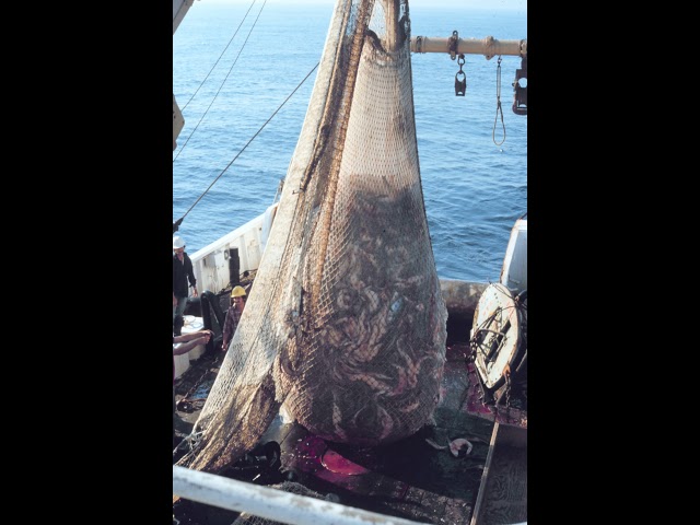 Trawling | Wikipedia audio article