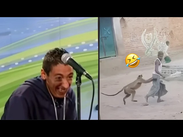 Try Not To Laugh 🤣 Top Funniest Videos Ever Epic Fails & Pranks Compilation