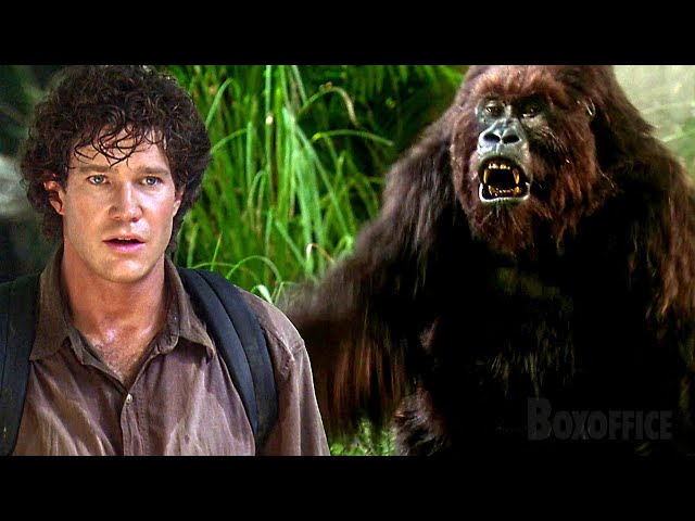 Man VS Gorilla | Congo | CLIP