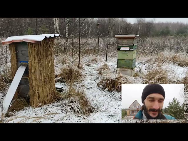 Укрытие для колод из камыша - от холода, жары, ветра и сырости