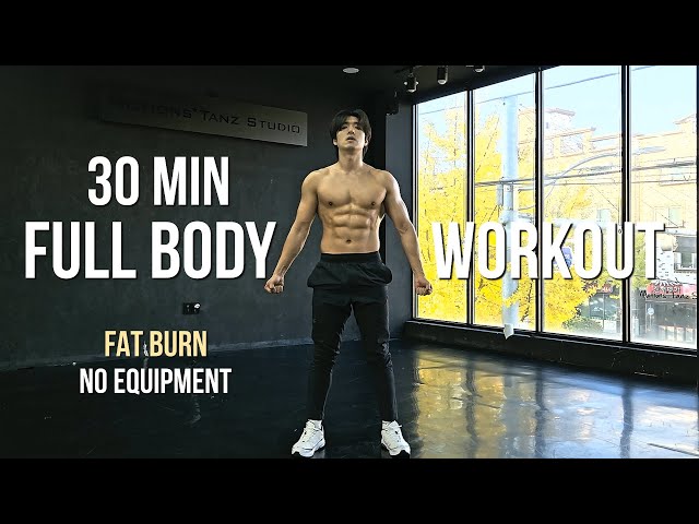 30 MIN FULL BODY WORKOUT AT HOME (Fat Burn & No Equipment)