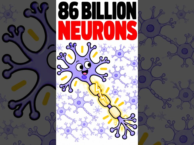 How a Neuron Decides to Fire All or Nothing