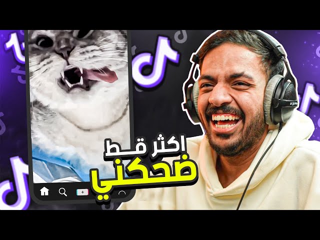 مقاطع تيك توك تضحك | أكثر قط ضحكني