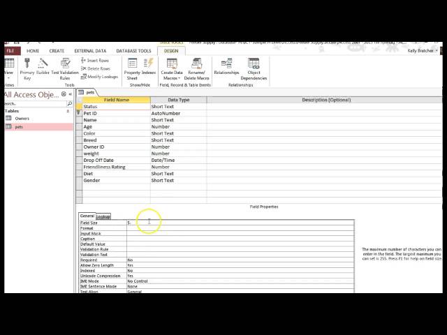 Access - Field Size