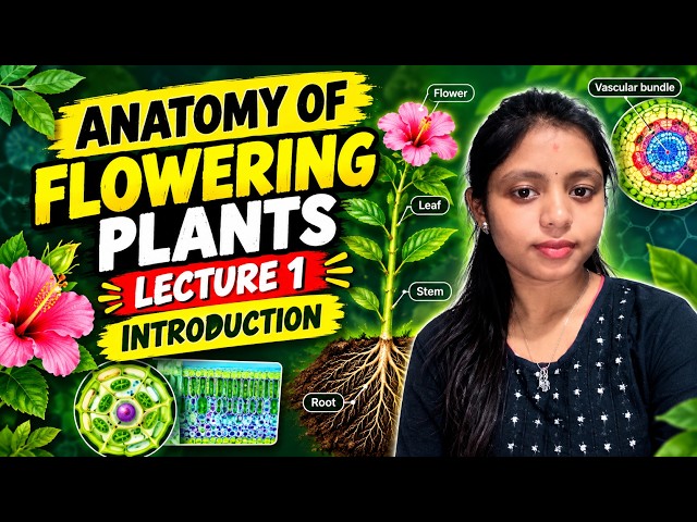 Anatomy of flowering plants lecture 1 introduction #biology #neet #class11 #cbse