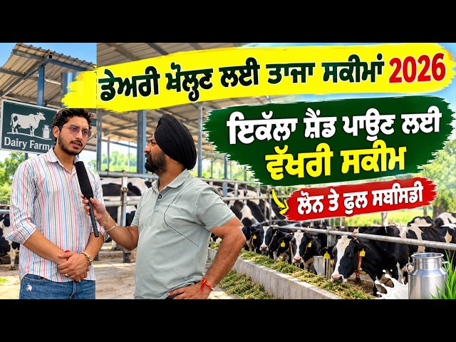 ਡੇਅਰੀ ਖੋਲ੍ਹਣ ਜਾਂ ਇਕੱਲਾ ਸ਼ੈਡ ਪਾਉਣ ਲਈ ਤਾਜ਼ਾ ਸਕੀਮਾਂ 2026 | Punjab Aala Podcast