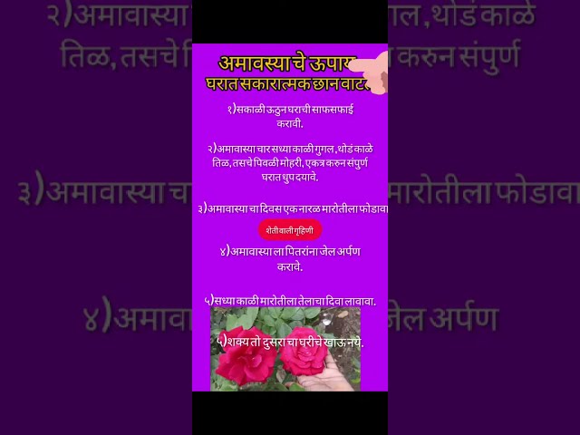 आज पोळ्या ची अमावास्या मी काय करते पाहा🙏👳‍♀️शेतकरी जीवन.. 🌟👌✌