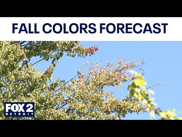 When will leaves change in Michigan? Fall colors forecast
