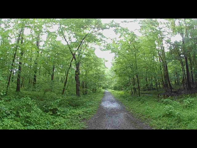 A 3D Hike in Rocky Run Stream Valley Park, Summer 2017, part 1