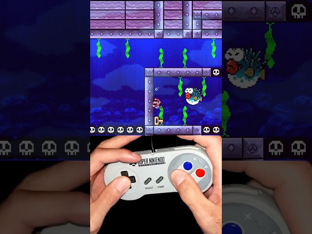MARIO and a BLOWFISH