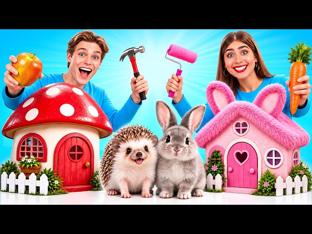 We Build Tiny House for Pets | Cool Creative Hacks by Multi DO Smile